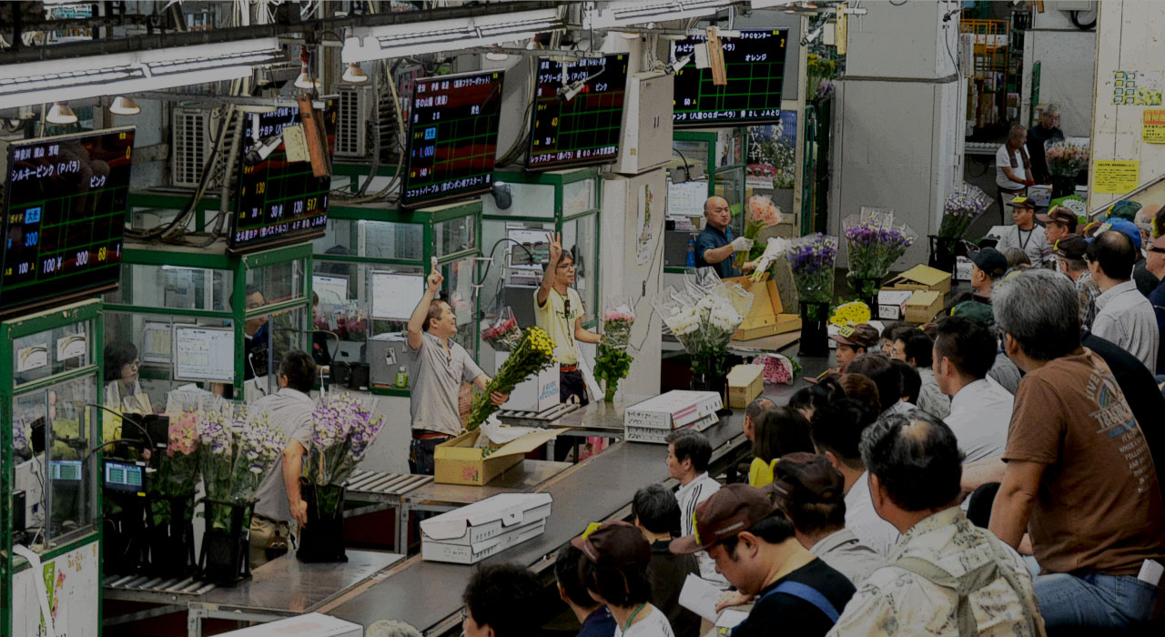 東京都中央卸売市場 | 北足立市場 花き部　仲卸 | 株式会社オーダーフラワー